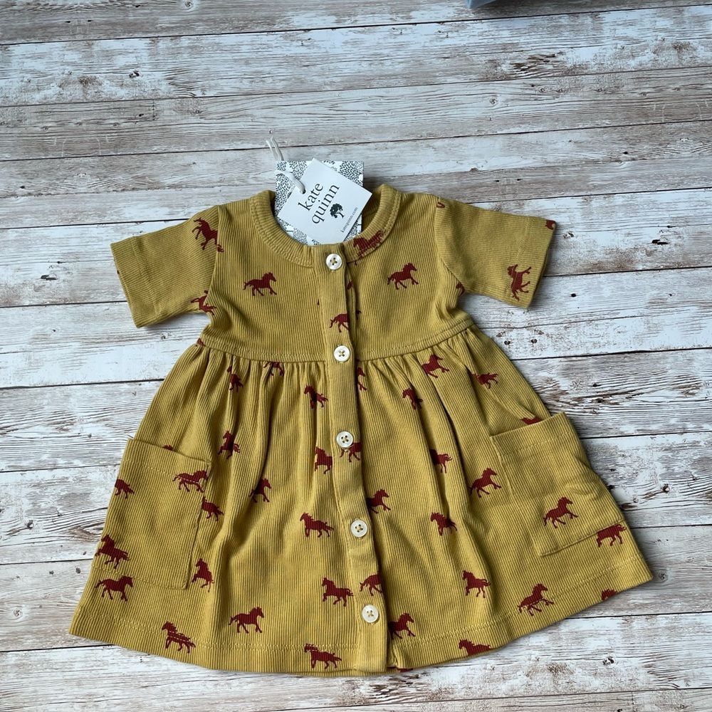 Kate Quinn Short Sleeve Button Pocket Dress